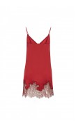 Lace Detailed Mini Dress 