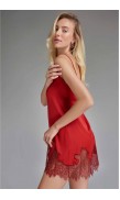 Lace Detailed Mini Dress 