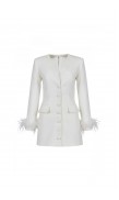 Single-Breasted Fitted Mini Blazer Dress 