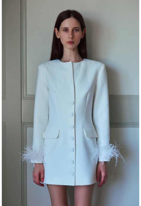 Single-Breasted Fitted Mini Blazer Dress 