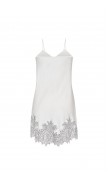 Lace Detailed Mini Dress 